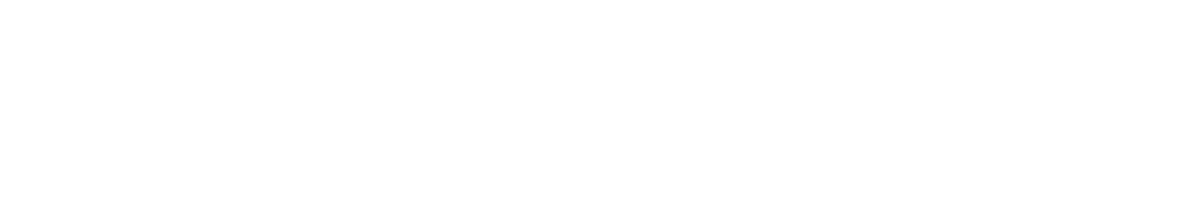 OPT Nexus (Logotipo)